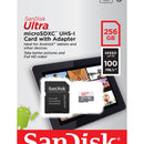 Cartao De Memoria Sandisk 256GB